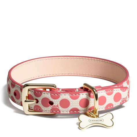 coach pet collar